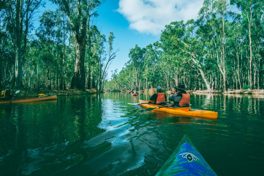 Murray River Kayaking