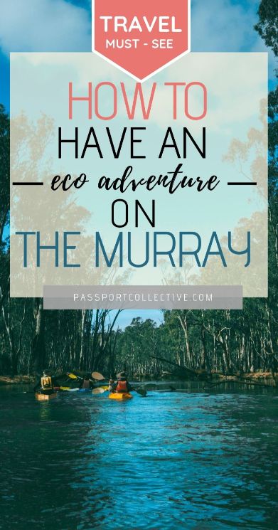 Murray River Kayaking